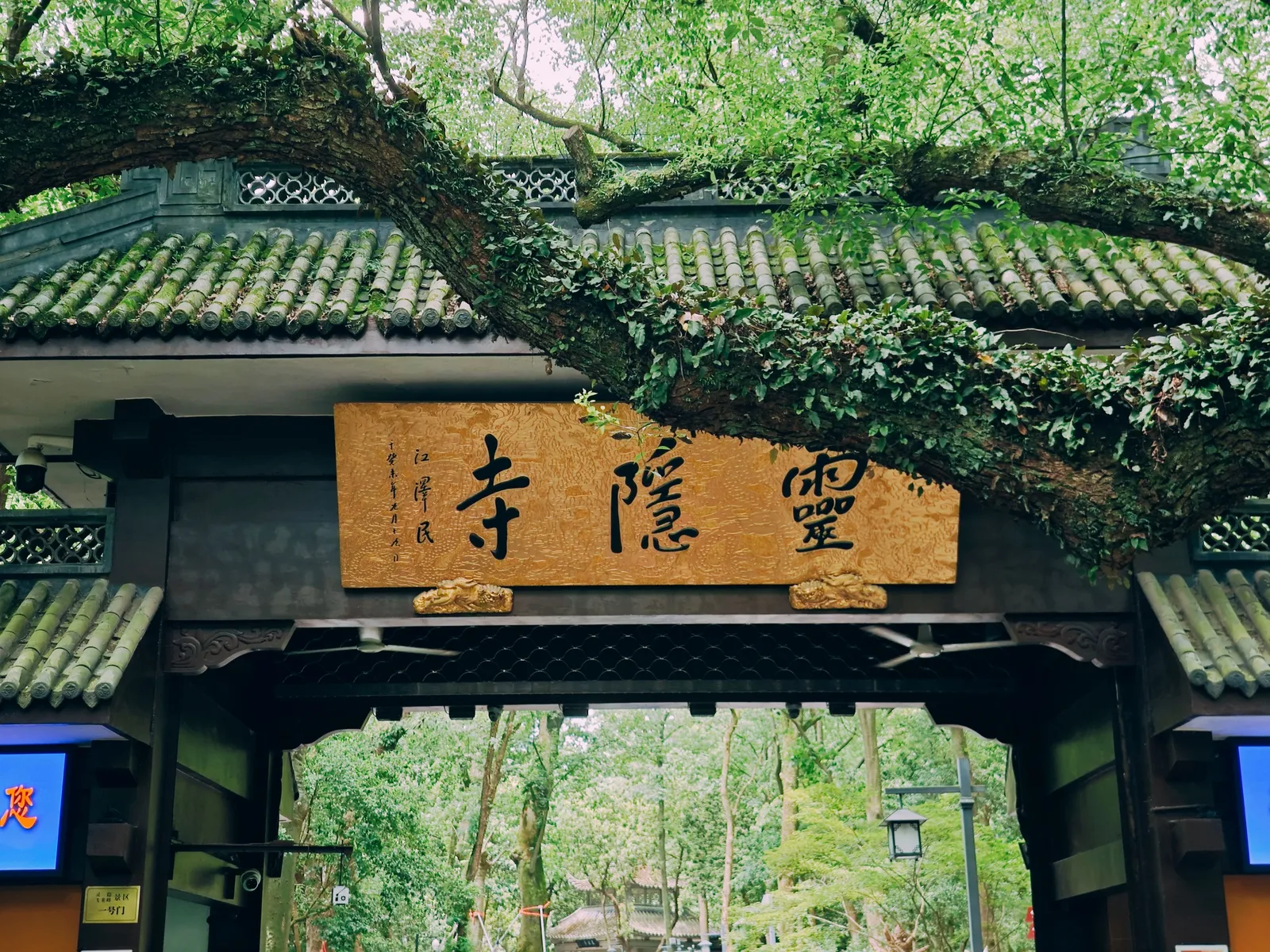 杭州·舟山·上海, 